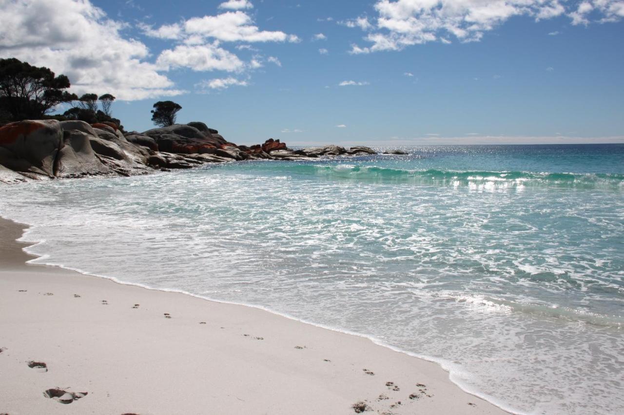 Binalong Beach Cottage Beachfront At Bay Of Fires Next To Restaurant Binalong Bay Экстерьер фото